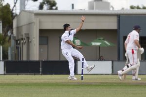 Cats win, Tigers lose