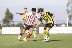 Bees share the points