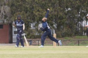 Cats ‘disappointing’ loss