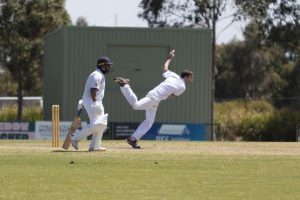 Sharks escape danger