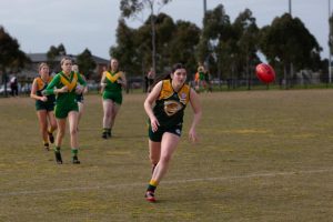 Falcons ready to fly