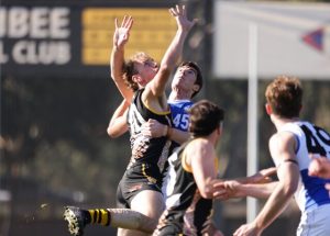 Tigers strong performance