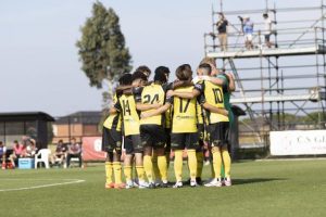 Coaching change at Bees