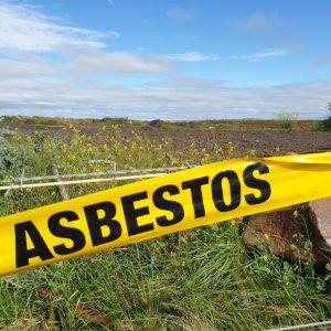 Conservationists call for grassland compensation