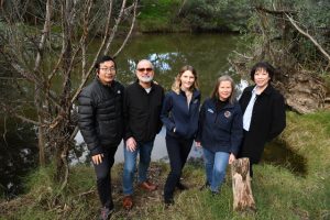 Watch on Werribee River platypuses