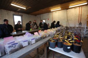 Festival with a fruity flavour