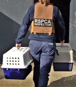 Animal cruelty cases rise in Wyndham