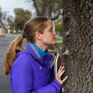 Smell walks coming to Wyndham