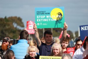 Rail terminal scrapped