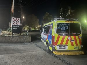 Ambos roll up their sleeves to save lives in other ways
