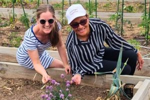 Smell the Penrose garden