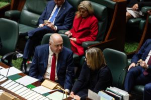 Pallas stepping down from parliament