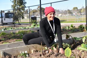 Pasifika Garden flourishes
