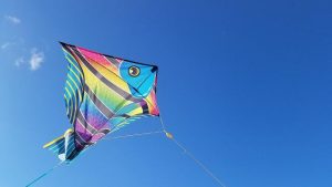 Kite festival to soar
