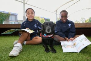 Story Dogs lend a helping paw