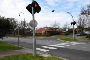 Crossing safety celebration