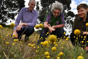 Calls for better grassland protection