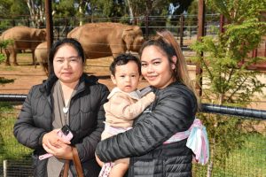 Fun and learning on The Elephant Trail