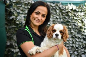 Putting pets at the paw-front