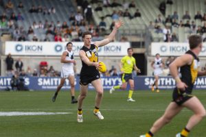 Clark new Tigers captain