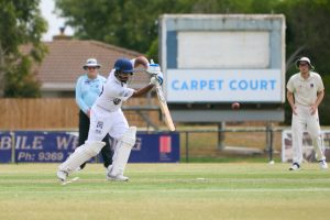 Cats through to semis