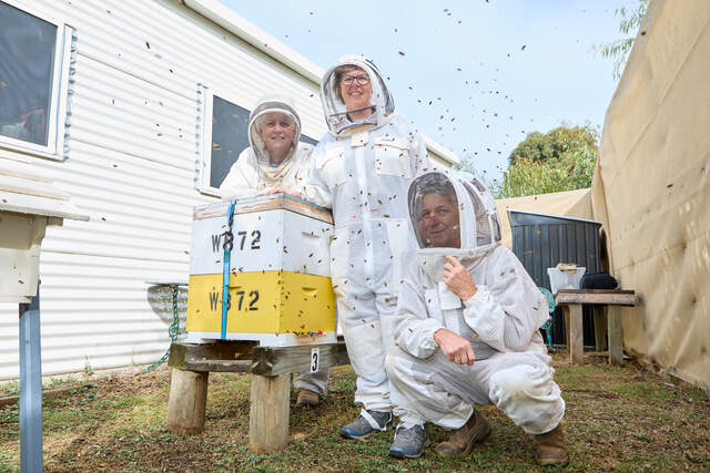 Bees_472933_01.jpg