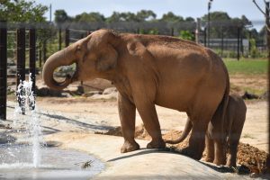 Hop into fun this April