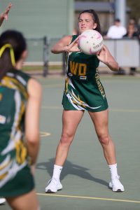 Centurions starting to build