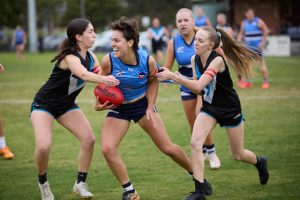 Sharks finding their groove