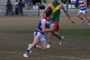 Swan inspires Point Cook