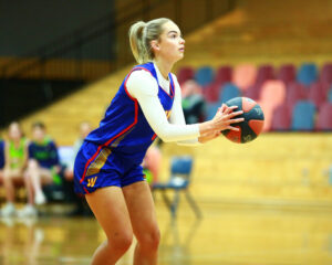 Tough end to Big V season