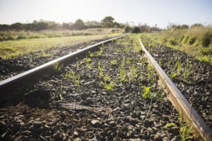 Black Forest station needed