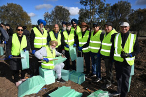 Tree planting day rocks VU