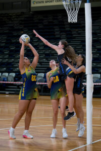 Hawks eyeing premiership glory