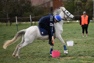 Pony time in Werribee