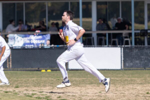 Cats, Tigers fall short