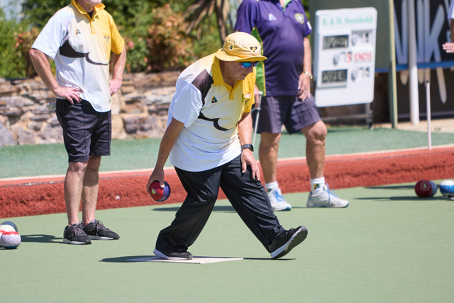 Losses for Bees, Hawks