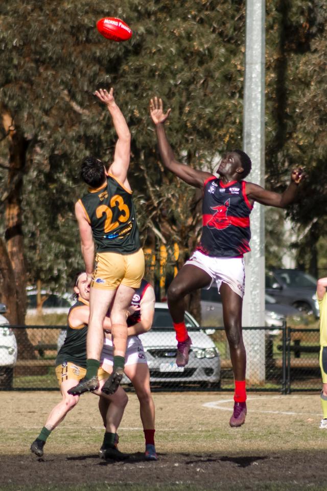 New signings for Werribee