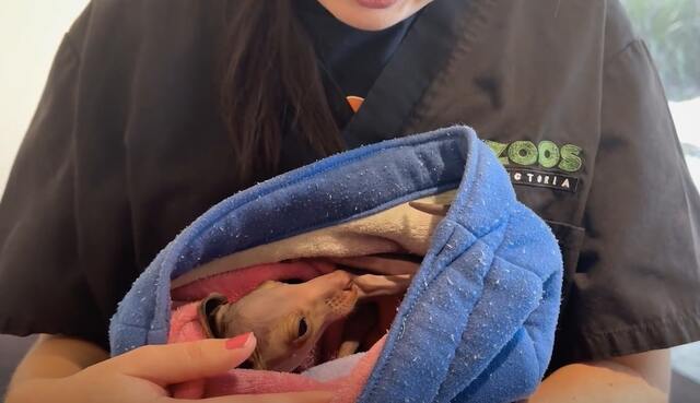 Watch out for wildlife