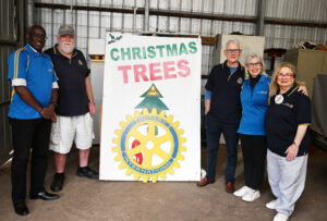 Christmas trees for a good cause
