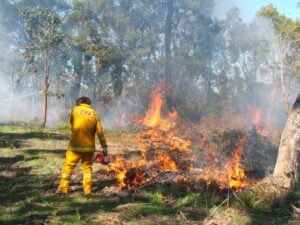 CFA warning ahead of summer