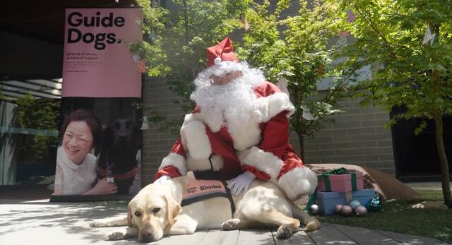 Guide Dogs Victoria appeals for support