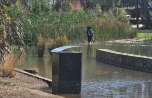 Creek flooding to be examined