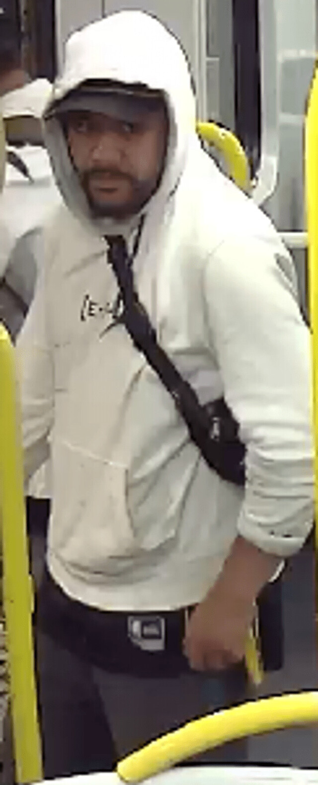 Police investigating attempted robbery