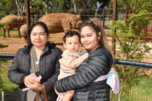 Fun and learning on The Elephant Trail