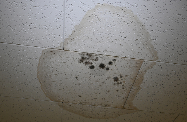 Manorvale in need of repair