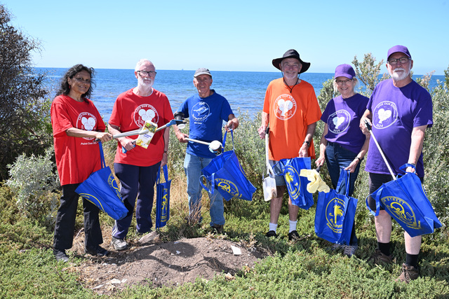 Help clean up Wyndham