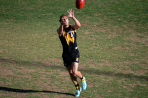 Lazzaro’s Tigers move