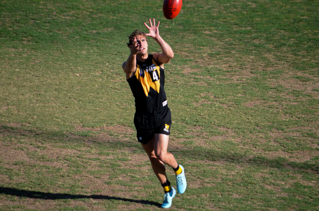 Lazzaro’s Tigers move