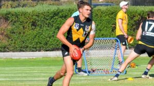 Cappellari joins Tigers